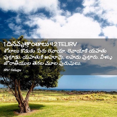 Picture 02 - 1 దినవృత్తాంతాలు 4:2 TELIRV - శోబాలు కొడుకు - Bible Verse Picture