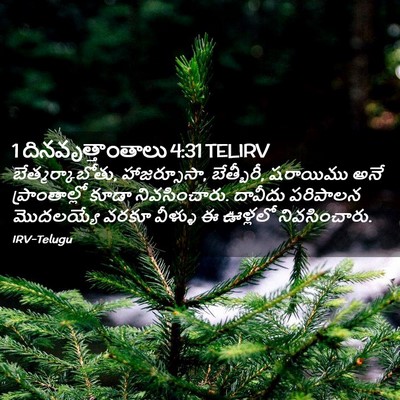 Picture 02 - 1 దినవృత్తాంతాలు 4:31 TELIRV - బేత్మర్కాబోతు, - Bible Verse Picture