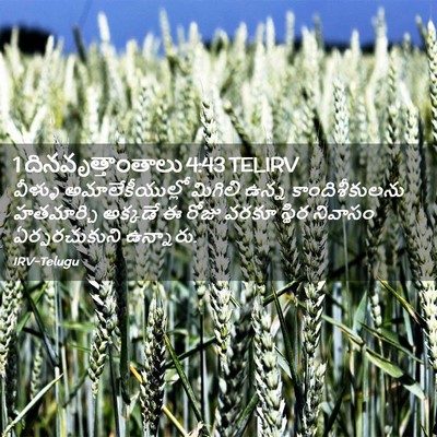Picture 02 - 1 దినవృత్తాంతాలు 4:43 TELIRV - వీళ్ళు - Bible Verse Picture