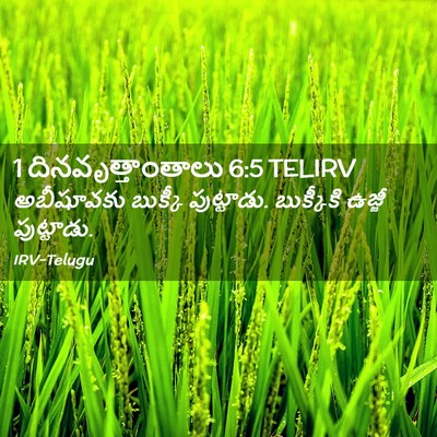 Picture 02 - 1 దినవృత్తాంతాలు 6:5 TELIRV - అబీషూవకు బుక్కీ - Bible Verse Picture