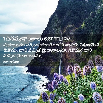 Picture 02 - 1 దినవృత్తాంతాలు 6:67 TELIRV - ఎఫ్రాయిము పర్వత - Bible Verse Picture