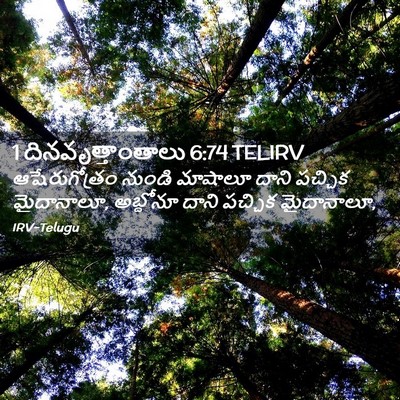 Picture 02 - 1 దినవృత్తాంతాలు 6:74 TELIRV - ఆషేరుగోత్రం నుండి - Bible Verse Picture