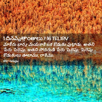 Picture 02 - 1 దినవృత్తాంతాలు 7:16 TELIRV - మాకీరు భార్య - Bible Verse Picture