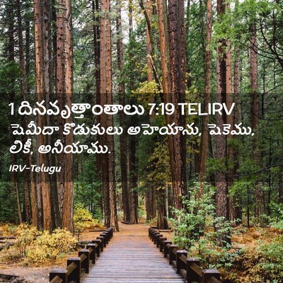 Picture 02 - 1 దినవృత్తాంతాలు 7:19 TELIRV - షెమీదా కొడుకులు - Bible Verse Picture
