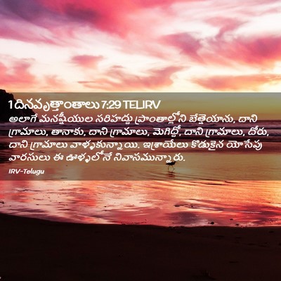 Picture 02 - 1 దినవృత్తాంతాలు 7:29 TELIRV - అలాగే మనష్షీయుల - Bible Verse Picture