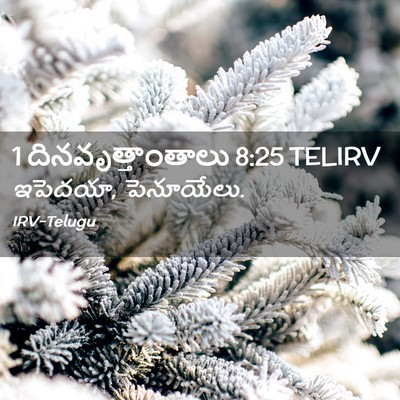 Picture 02 - 1 దినవృత్తాంతాలు 8:25 TELIRV - ఇపెదయా, - Bible Verse Picture