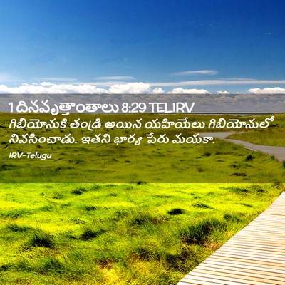 Picture 02 - 1 దినవృత్తాంతాలు 8:29 TELIRV - గిబియోనుకి తండ్రి - Bible Verse Picture