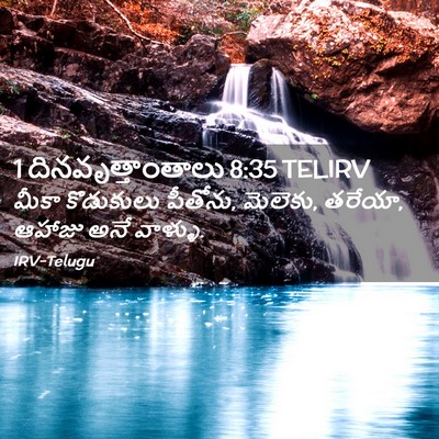 Picture 02 - 1 దినవృత్తాంతాలు 8:35 TELIRV - మీకా కొడుకులు - Bible Verse Picture