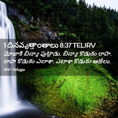 Picture 02 - 1 దినవృత్తాంతాలు 8:37 TELIRV - మోజాకి బిన్యా - Bible Verse Picture