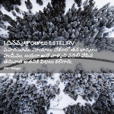 Picture 02 - 1 దినవృత్తాంతాలు 8:8 TELIRV - షహరయీము మోయాబు - Bible Verse Picture