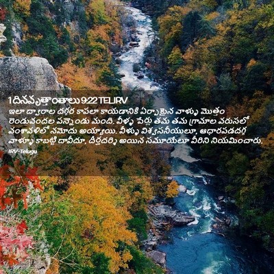 Picture 02 - 1 దినవృత్తాంతాలు 9:22 TELIRV - ఇలా ద్వారాల దగ్గర - Bible Verse Picture