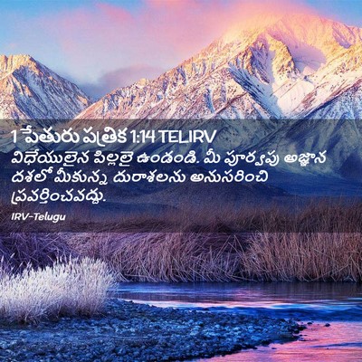 Picture 02 - 1 పేతురు పత్రిక 1:14 TELIRV - విధేయులైన పిల్లలై - Bible Verse Picture