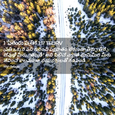Picture 02 - 1 పేతురు పత్రిక 1:17 TELIRV - ప్రతి ఒక్కరి పని - Bible Verse Picture