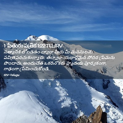 Picture 02 - 1 పేతురు పత్రిక 1:22 TELIRV - సత్యానికి లోబడడం - Bible Verse Picture