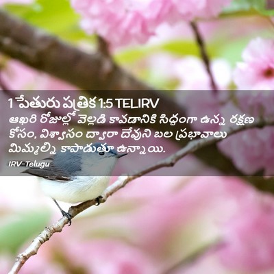 Picture 02 - 1 పేతురు పత్రిక 1:5 TELIRV - ఆఖరి రోజుల్లో - Bible Verse Picture