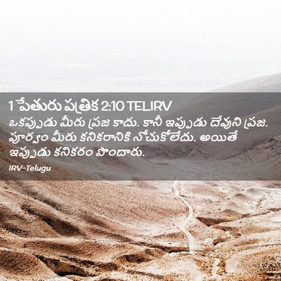 Picture 02 - 1 పేతురు పత్రిక 2:10 TELIRV - ఒకప్పుడు మీరు - Bible Verse Picture