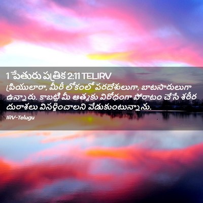 Picture 02 - 1 పేతురు పత్రిక 2:11 TELIRV - ప్రియులారా, మీరీ - Bible Verse Picture