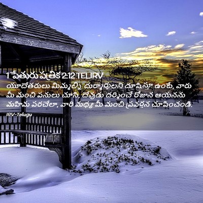 Picture 02 - 1 పేతురు పత్రిక 2:12 TELIRV - యూదేతరులు - Bible Verse Picture