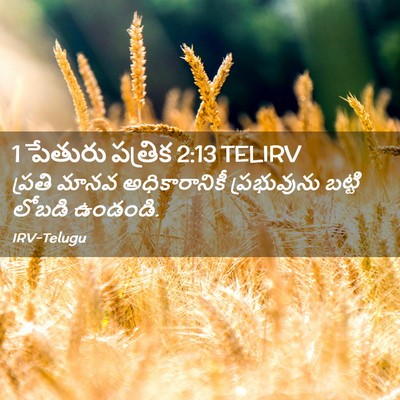 Picture 02 - 1 పేతురు పత్రిక 2:13 TELIRV - ప్రతి మానవ - Bible Verse Picture