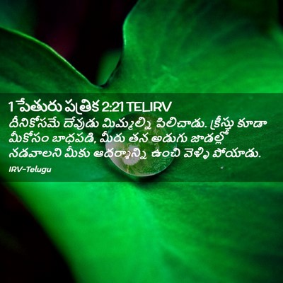 Picture 02 - 1 పేతురు పత్రిక 2:21 TELIRV - దీనికోసమే దేవుడు - Bible Verse Picture