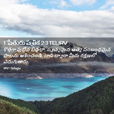 Picture 02 - 1 పేతురు పత్రిక 2:3 TELIRV - కొత్తగా పుట్టిన - Bible Verse Picture
