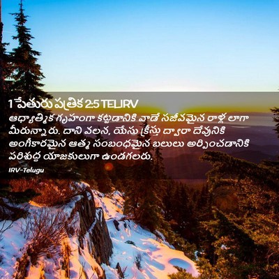 Picture 02 - 1 పేతురు పత్రిక 2:5 TELIRV - ఆధ్యాత్మిక గృహంగా - Bible Verse Picture