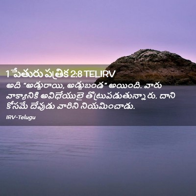 Picture 02 - 1 పేతురు పత్రిక 2:8 TELIRV - అది “అడ్డురాయి, - Bible Verse Picture