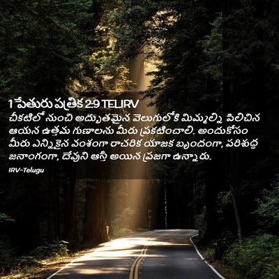 Picture 02 - 1 పేతురు పత్రిక 2:9 TELIRV - చీకటిలో నుంచి - Bible Verse Picture