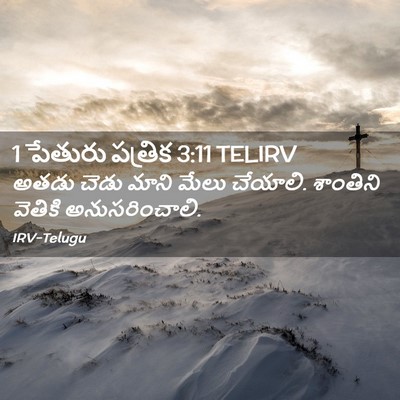Picture 02 - 1 పేతురు పత్రిక 3:11 TELIRV - అతడు చెడు మాని - Bible Verse Picture
