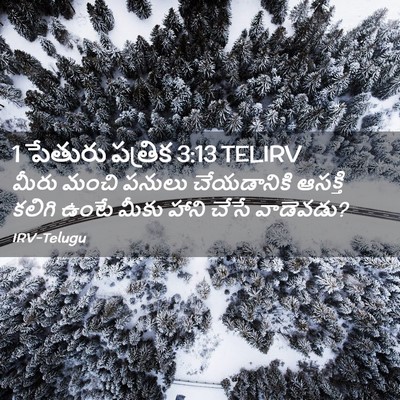 Picture 02 - 1 పేతురు పత్రిక 3:13 TELIRV - మీరు మంచి పనులు - Bible Verse Picture