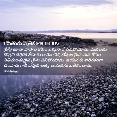Picture 02 - 1 పేతురు పత్రిక 3:18 TELIRV - క్రీస్తు కూడా - Bible Verse Picture