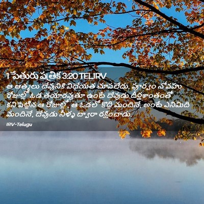 Picture 02 - 1 పేతురు పత్రిక 3:20 TELIRV - ఆ ఆత్మలు దేవునికి - Bible Verse Picture