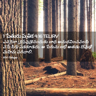 Picture 02 - 1 పేతురు పత్రిక 4:16 TELIRV - ఎవరైనా - Bible Verse Picture