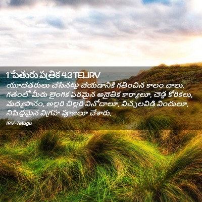 Picture 02 - 1 పేతురు పత్రిక 4:3 TELIRV - యూదేతరులు - Bible Verse Picture
