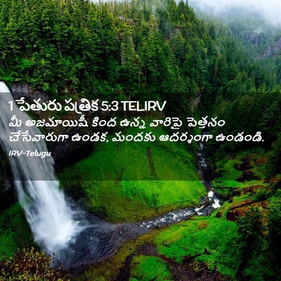 Picture 02 - 1 పేతురు పత్రిక 5:3 TELIRV - మీ అజమాయిషీ కింద - Bible Verse Picture