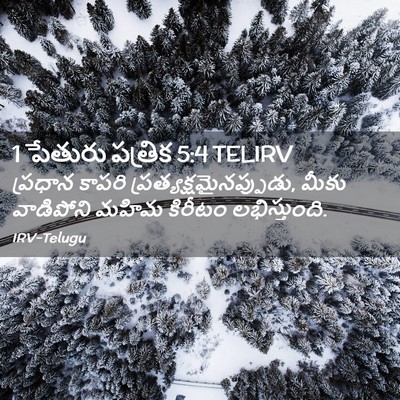 Picture 02 - 1 పేతురు పత్రిక 5:4 TELIRV - ప్రధాన కాపరి - Bible Verse Picture