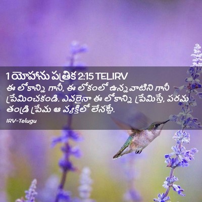 Picture 02 - 1 యోహాను పత్రిక 2:15 TELIRV - ఈ లోకాన్ని గానీ, ఈ - Bible Verse Picture