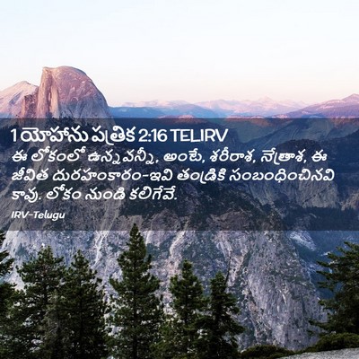 Picture 02 - 1 యోహాను పత్రిక 2:16 TELIRV - ఈ లోకంలో - Bible Verse Picture