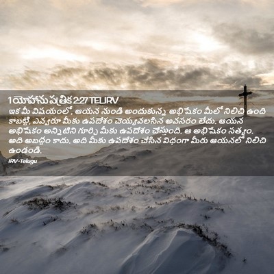 Picture 02 - 1 యోహాను పత్రిక 2:27 TELIRV - ఇక మీ విషయంలో, ఆయన - Bible Verse Picture