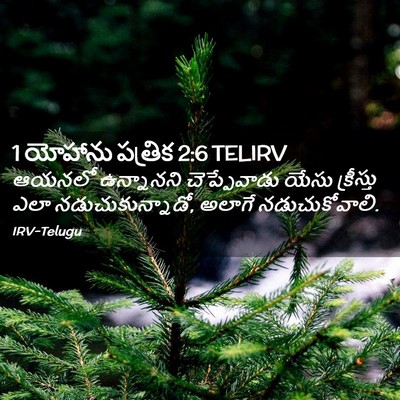 Picture 02 - 1 యోహాను పత్రిక 2:6 TELIRV - ఆయనలో ఉన్నానని - Bible Verse Picture