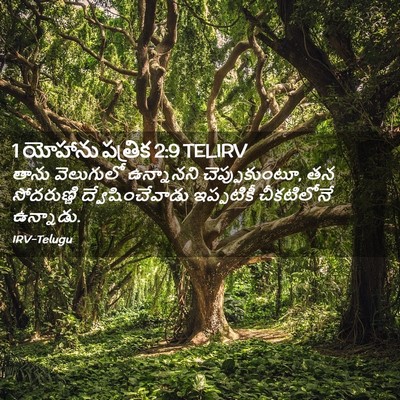 Picture 02 - 1 యోహాను పత్రిక 2:9 TELIRV - తాను వెలుగులో - Bible Verse Picture