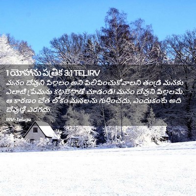 Picture 02 - 1 యోహాను పత్రిక 3:1 TELIRV - మనం దేవుని - Bible Verse Picture