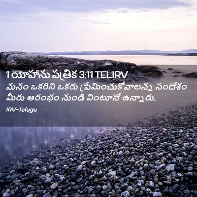 Picture 02 - 1 యోహాను పత్రిక 3:11 TELIRV - మనం ఒకరిని ఒకరు - Bible Verse Picture