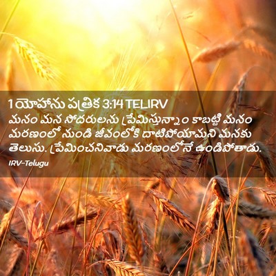 Picture 02 - 1 యోహాను పత్రిక 3:14 TELIRV - మనం మన సోదరులను - Bible Verse Picture