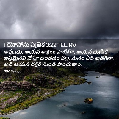 Picture 02 - 1 యోహాను పత్రిక 3:22 TELIRV - అప్పుడు, ఆయన - Bible Verse Picture