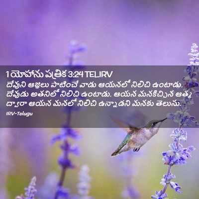Picture 02 - 1 యోహాను పత్రిక 3:24 TELIRV - దేవుని ఆజ్ఞలు - Bible Verse Picture