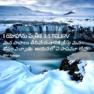 Picture 02 - 1 యోహాను పత్రిక 3:5 TELIRV - మన పాపాలు - Bible Verse Picture