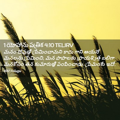 Picture 02 - 1 యోహాను పత్రిక 4:10 TELIRV - మనం దేవుణ్ణి - Bible Verse Picture