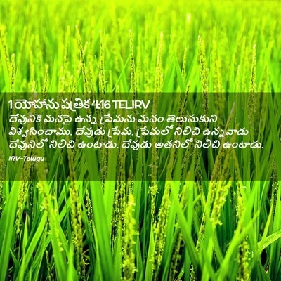 Picture 02 - 1 యోహాను పత్రిక 4:16 TELIRV - దేవునికి మనపై - Bible Verse Picture