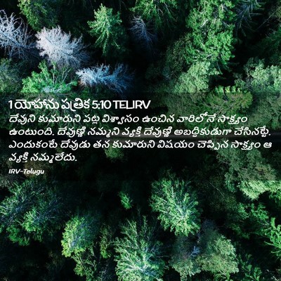 Picture 02 - 1 యోహాను పత్రిక 5:10 TELIRV - దేవుని కుమారుని - Bible Verse Picture